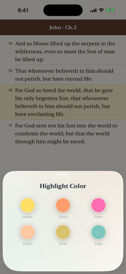 Keep what speaks — Bible Widget app screenshot