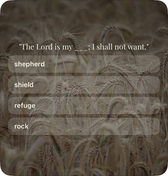 Large Bible verse widget
